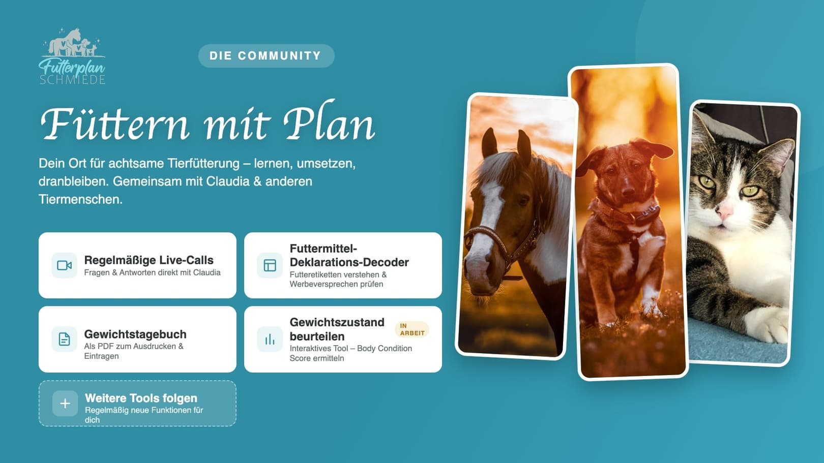 Community „Achtsam füttern mit Plan“ – 3 Monate