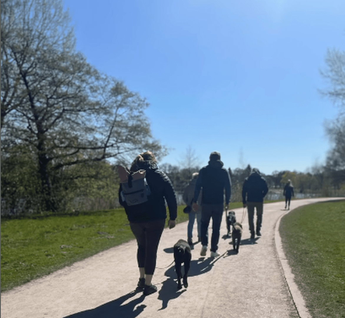 Intensiv-Workshop: Endlich entspannt an der Leine gehen