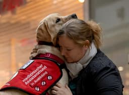 BOSSDOGS Hundeschule - Assistenzhunde - Therapiebegleithunde - Hundesportgeräte - Inh. Stefanie Schramm