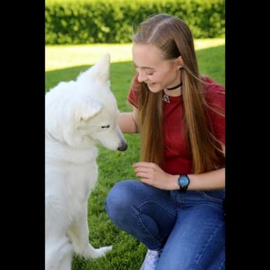 Dogs food advice - Ernährungsberatung für Hunde
