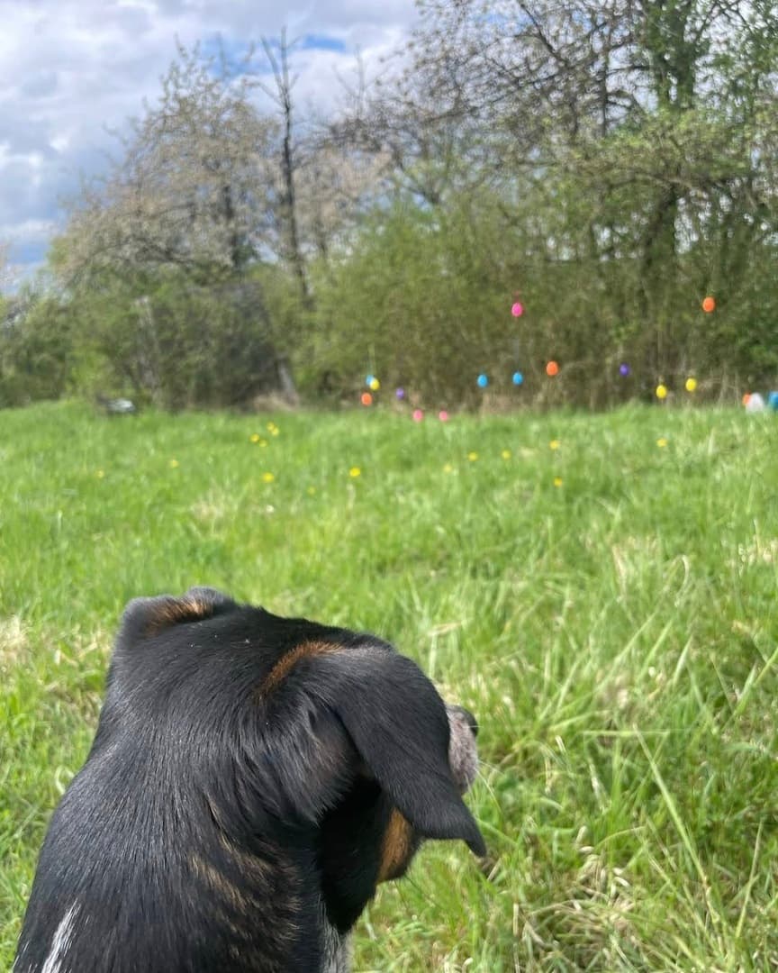 Rettet Ostern Wanderung