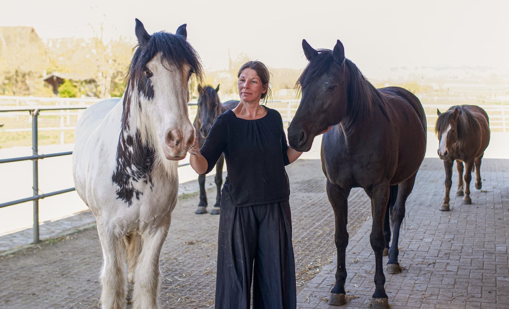 Workshop 'Mit Tieren wachsen': Coaching mit Pferd & Esel