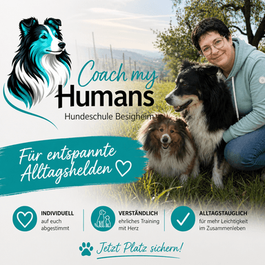 Hundeschule Coach my Humans Besigheim