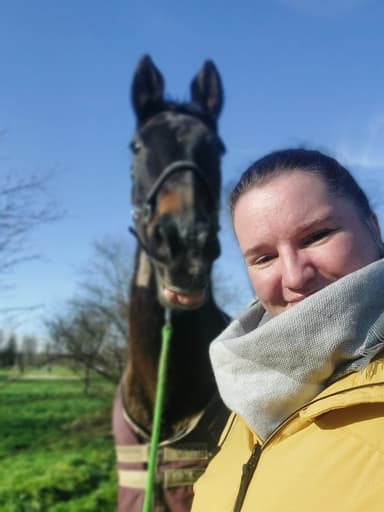 Pferdewellness Dana Putz