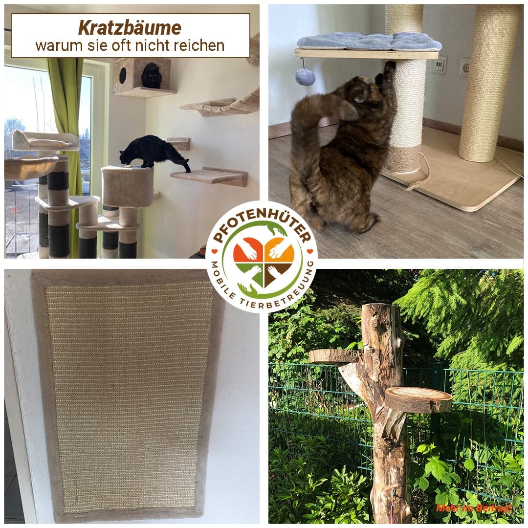 Beratungs-Paket: für artgerechte Haltung & Ernährung