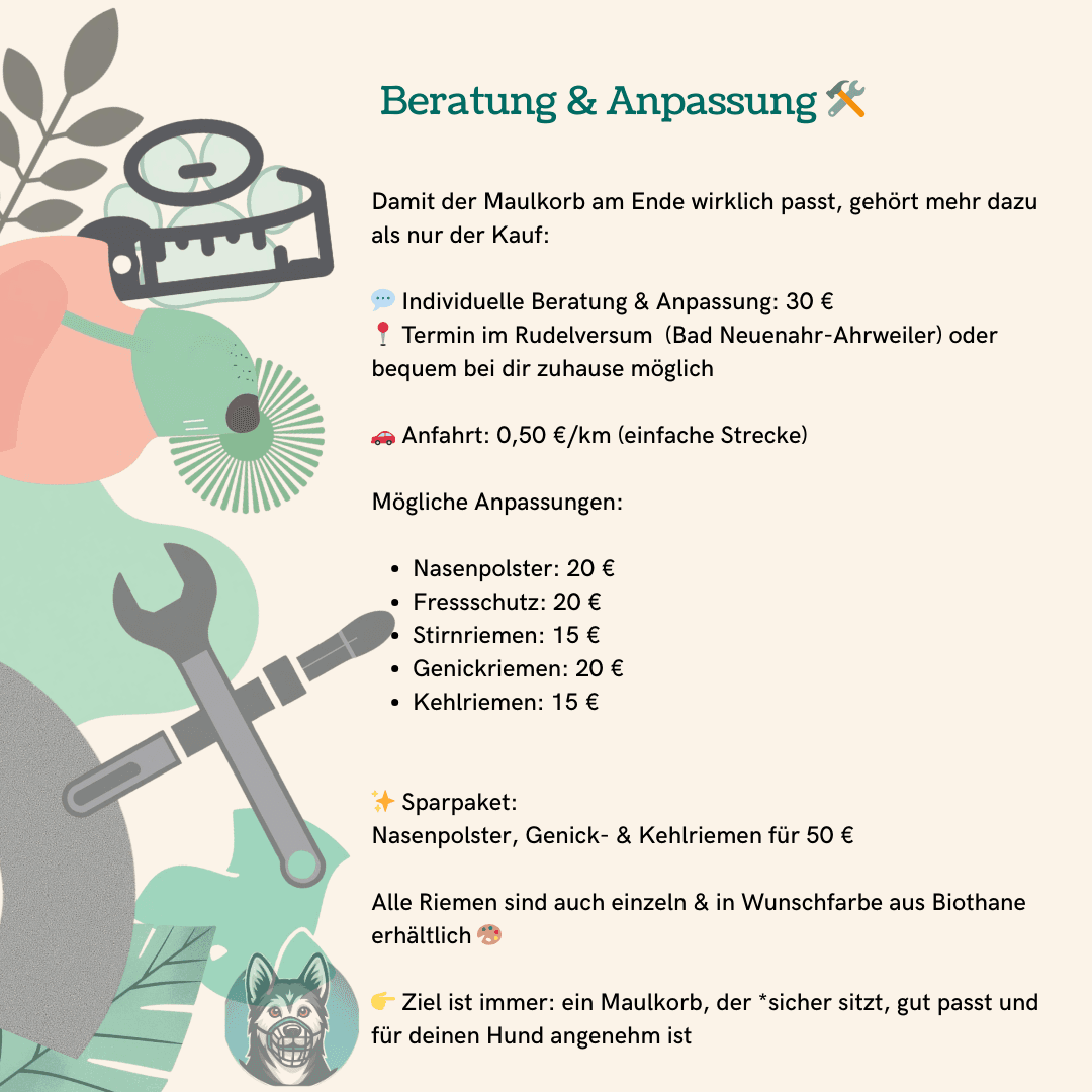 Maulkorbberatung und Anpassung