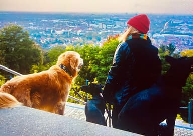 Hundetraining Isabella Westerwelle