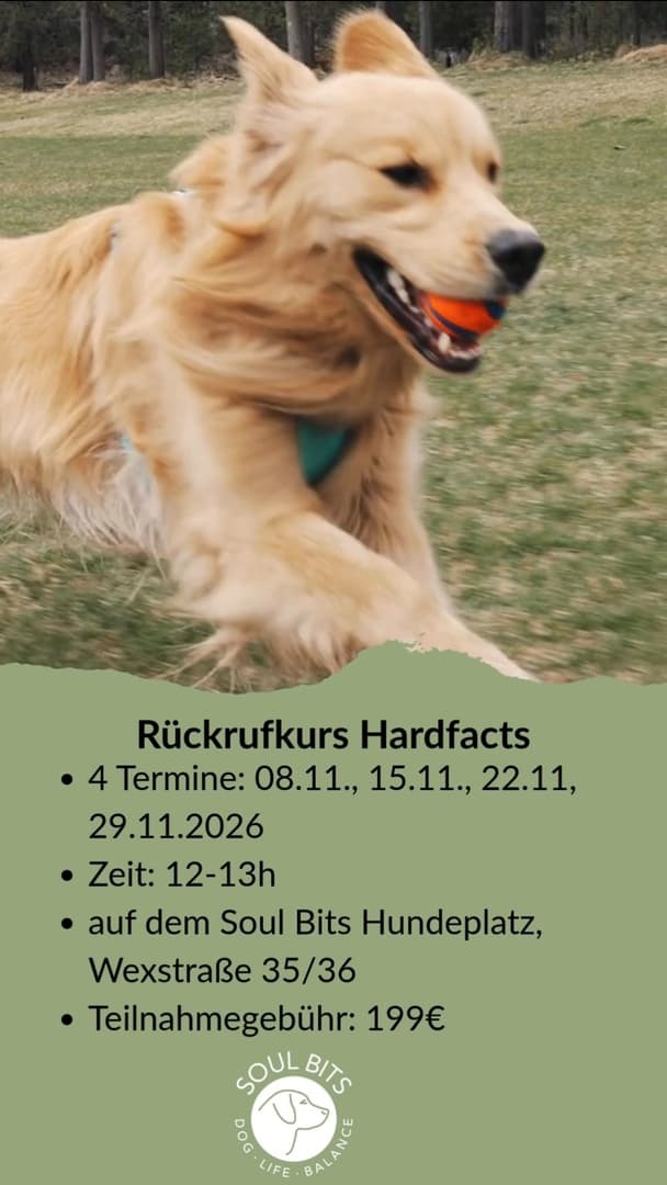 Kurs: Der verbindliche Rückruf