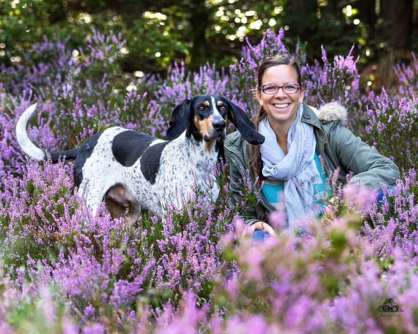 Rahel Chini Hundeschule Völkersweiler