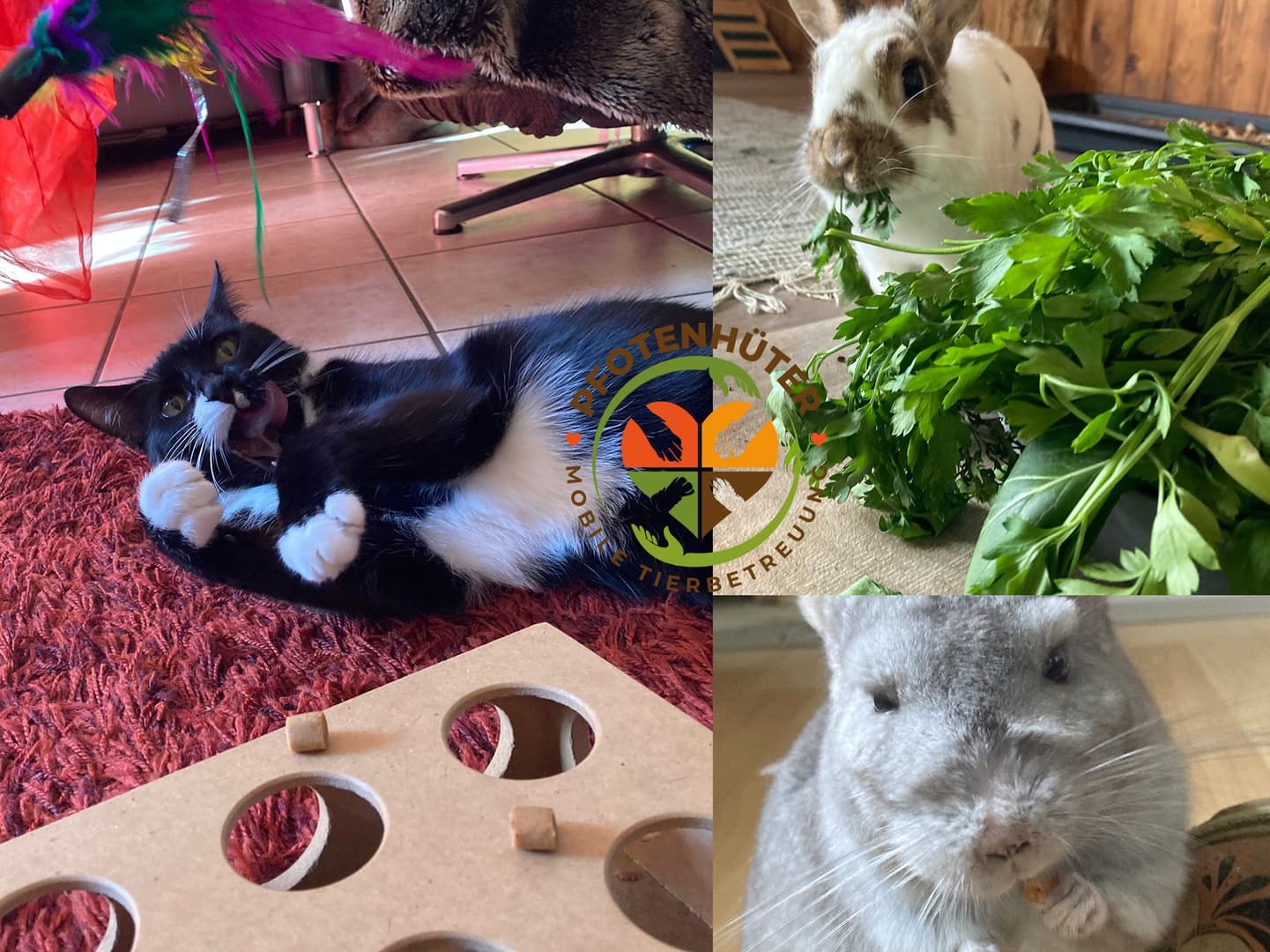 Pfotenhüter - Mobile Tierbetreuung