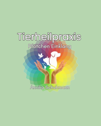 Tierheilpraxis Pfötchen Einklang