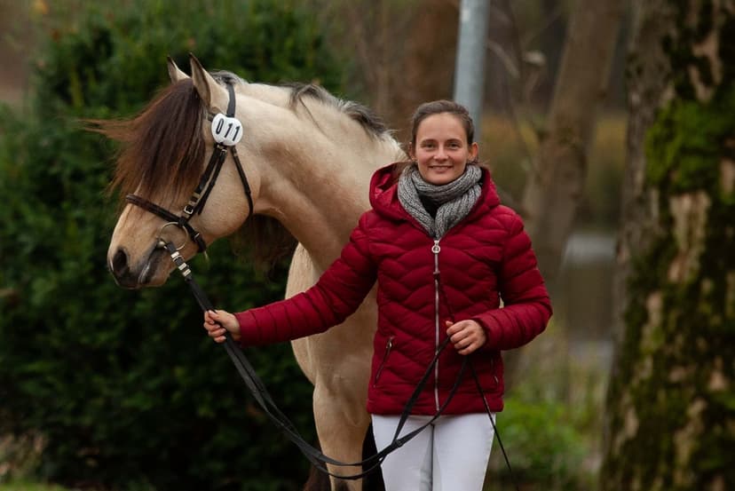 natural.horsing - Ausbildungszentrum für Mensch & Pferd