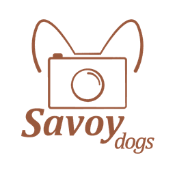 Savoy Dogs Fotografie
