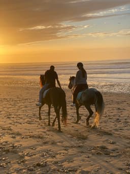 Dyad Equine