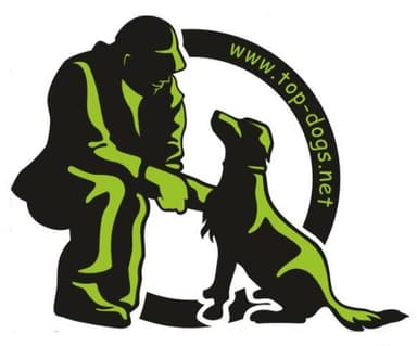 Top Dogs Hundeschule- Hundetrainer- Hundetraining
