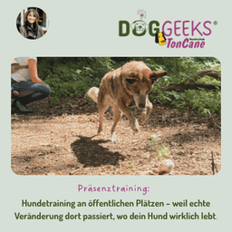 DogGeeks TonCane Hundeschule