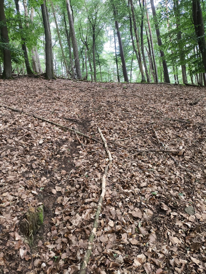 Physio - Spaziergang