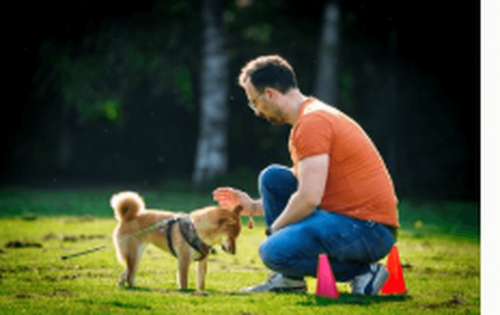 Gruppentraining im Wienburgpark