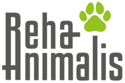 RehaAnimalis Hundephysio- & Fitnesstherapie