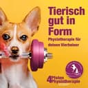 4-Pfoten-Physiotherapie
