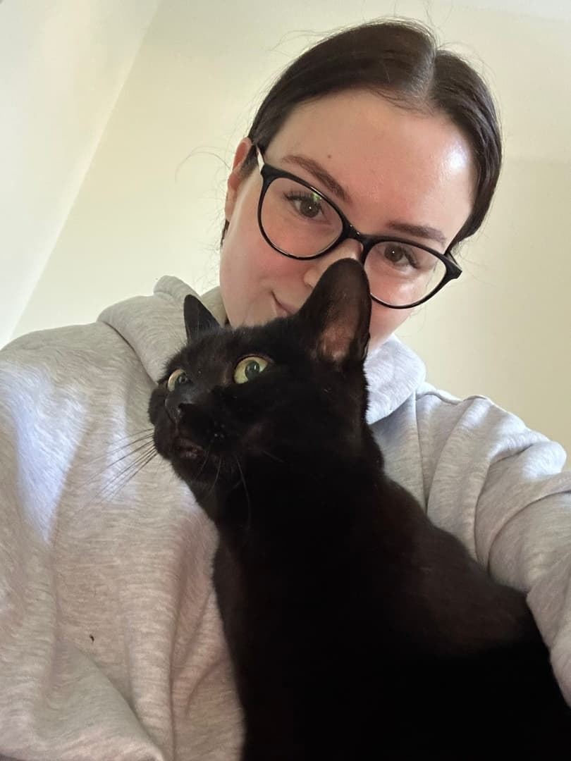 Ein Wochenende mit intensiver Katzenbetreuung