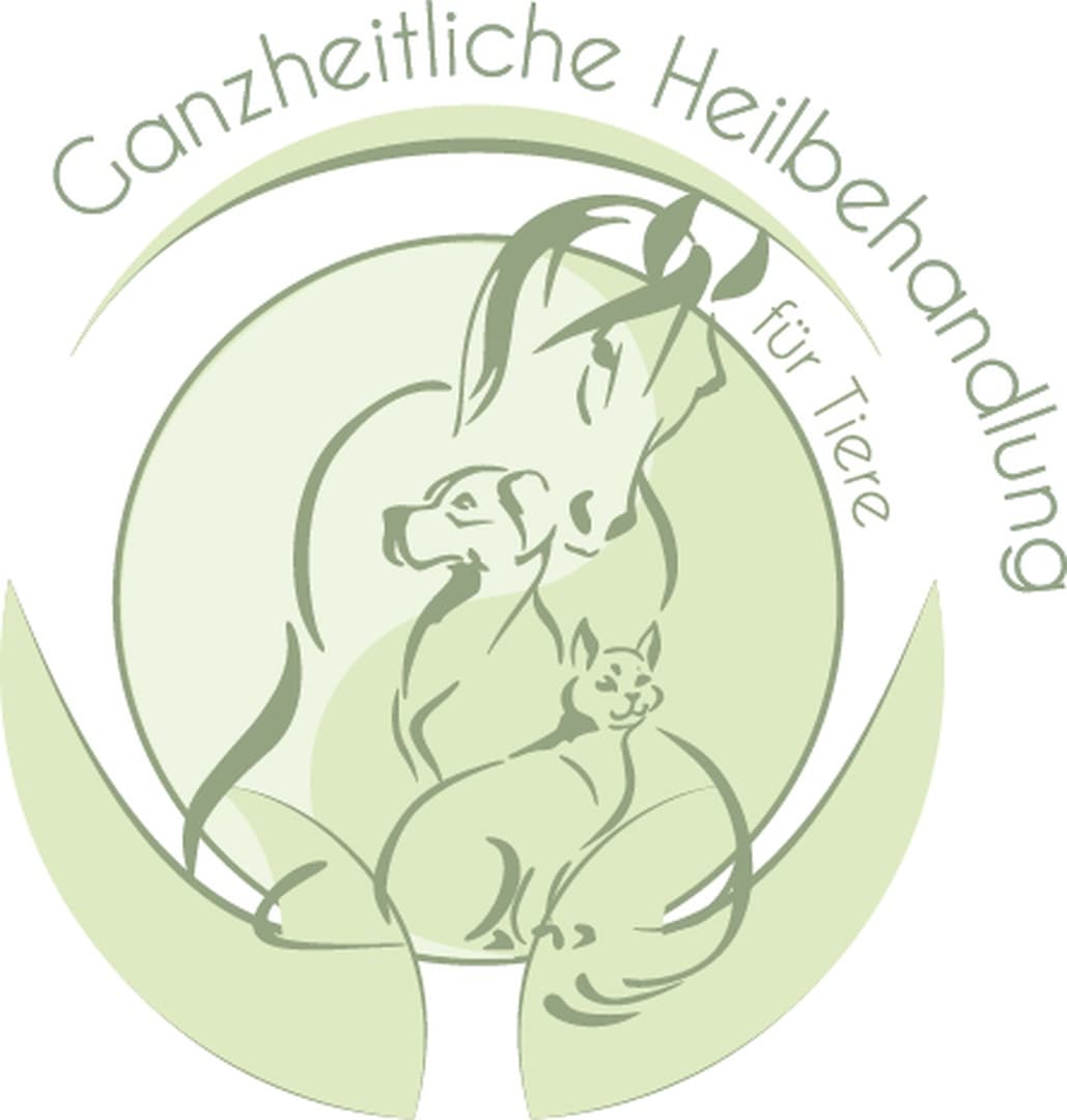 Online Ernährungsberatung über Zoom