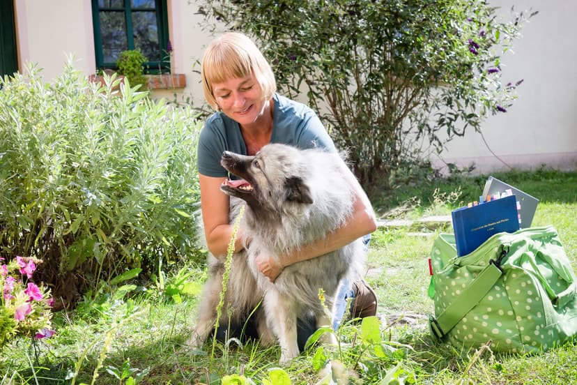 Katja Herbst - Tierakupunktur & Tierheilprakikerin