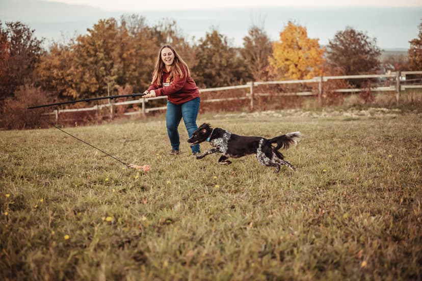 Martin Rütter Hundeschule Mainz / Bad Kreuznach