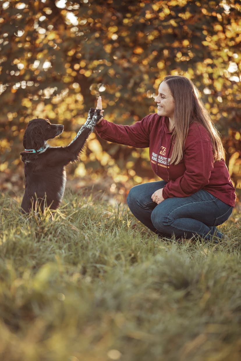 Martin Rütter Hundeschule Mainz / Bad Kreuznach