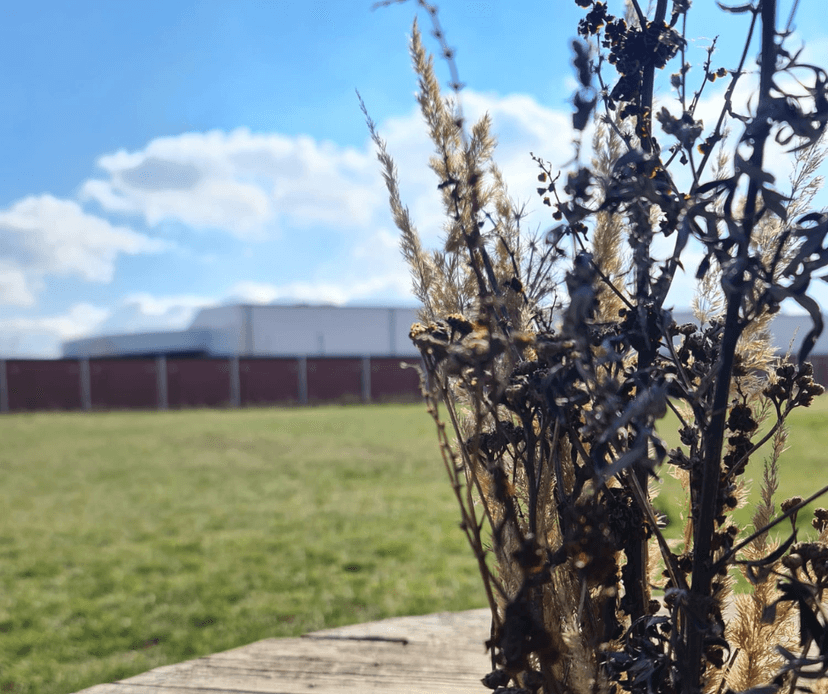Hundezentrum Fit - Deine Hundeschule in Neuenhagen
