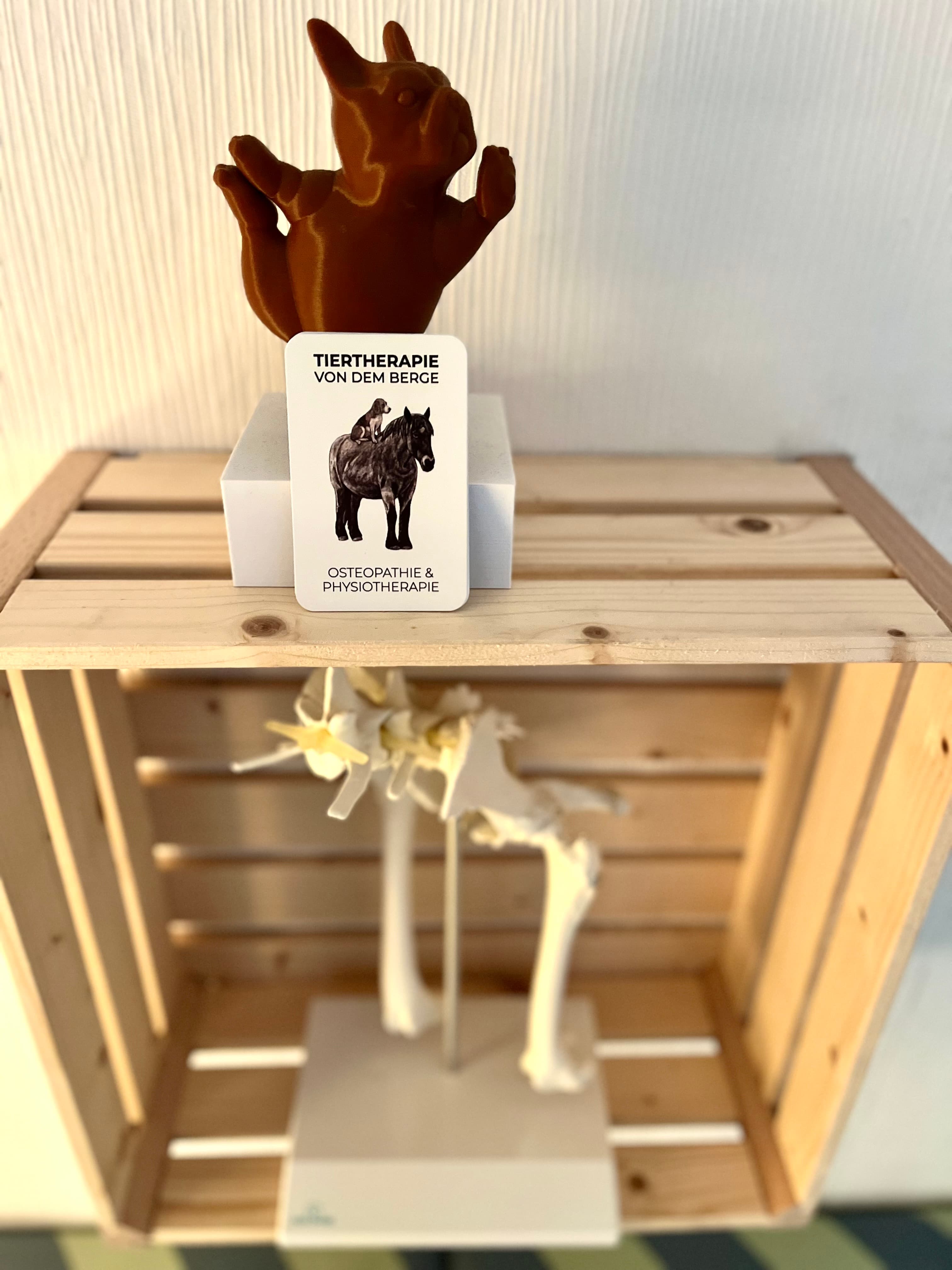 Tiertherapie von dem Berge