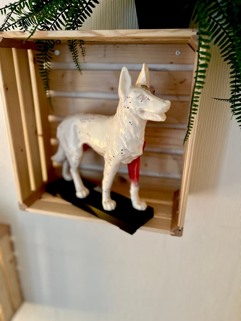 Tiertherapie von dem Berge