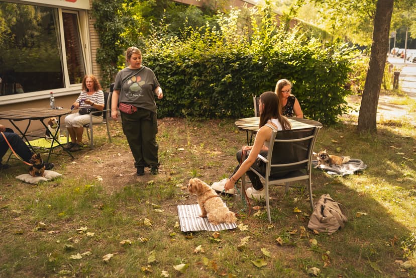 Die Hundeschule für kleine Rassen