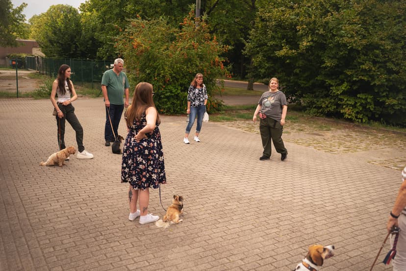 Die Hundeschule für kleine Rassen