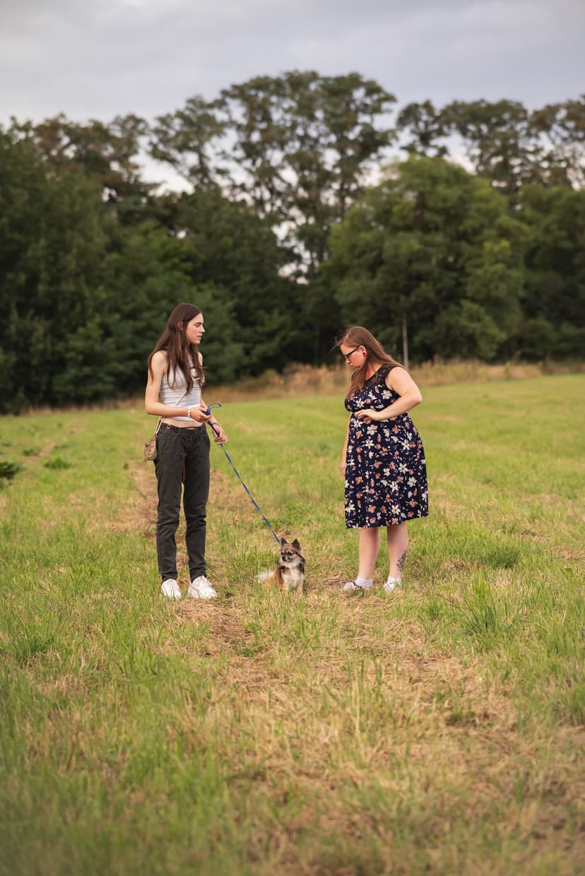 Die Hundeschule für kleine Rassen