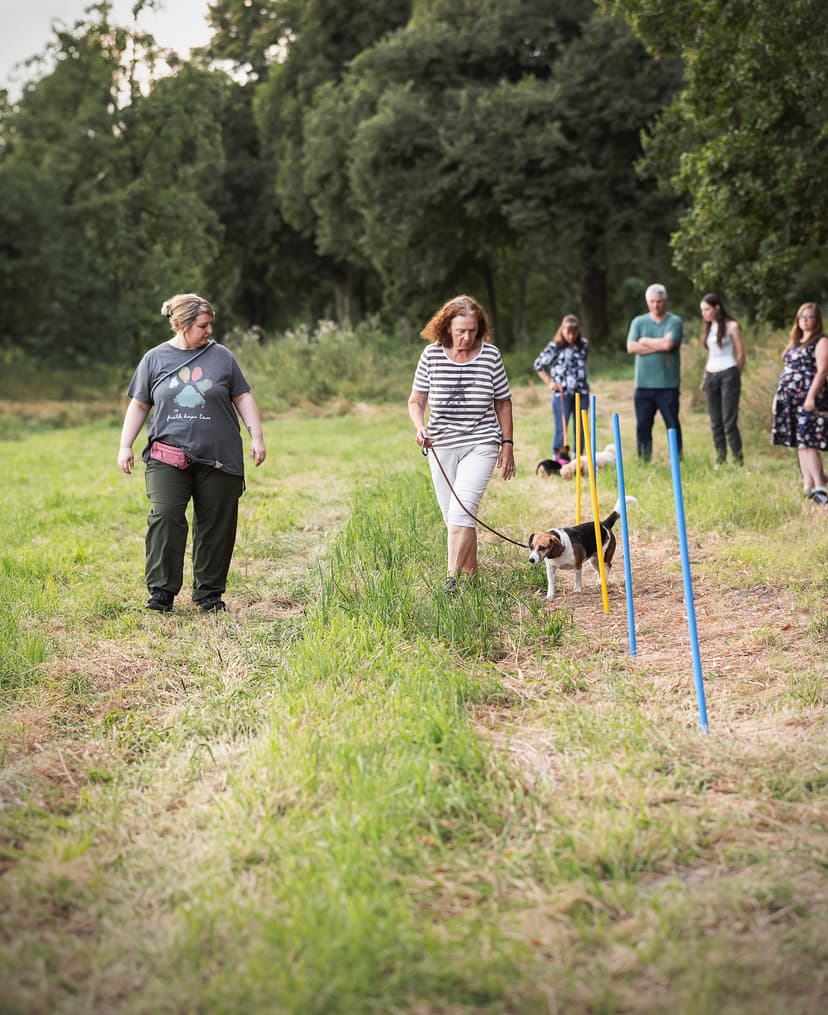 Die Hundeschule für kleine Rassen