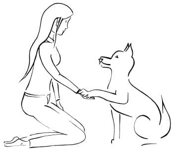 Dogs food advice - Ernährungsberatung für Hunde