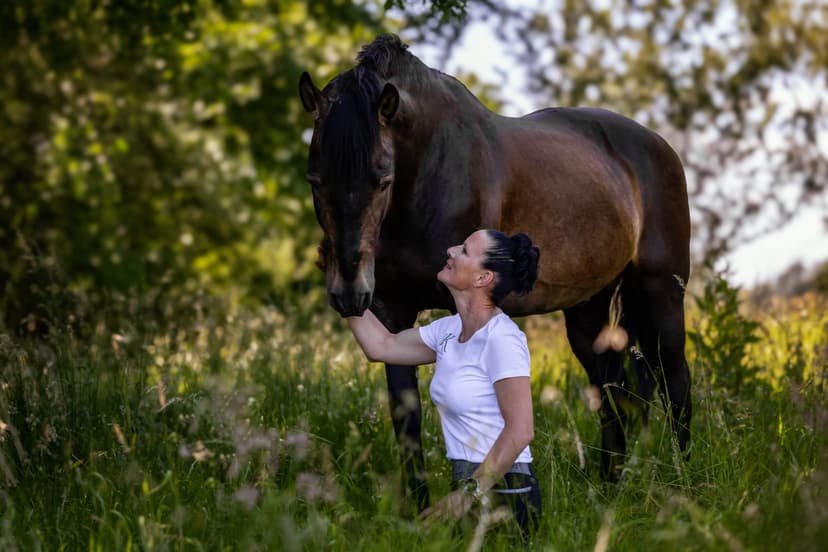 RK-Pferdetrainerin - HorseCoaching - Ausbildung auf Augenhöhe