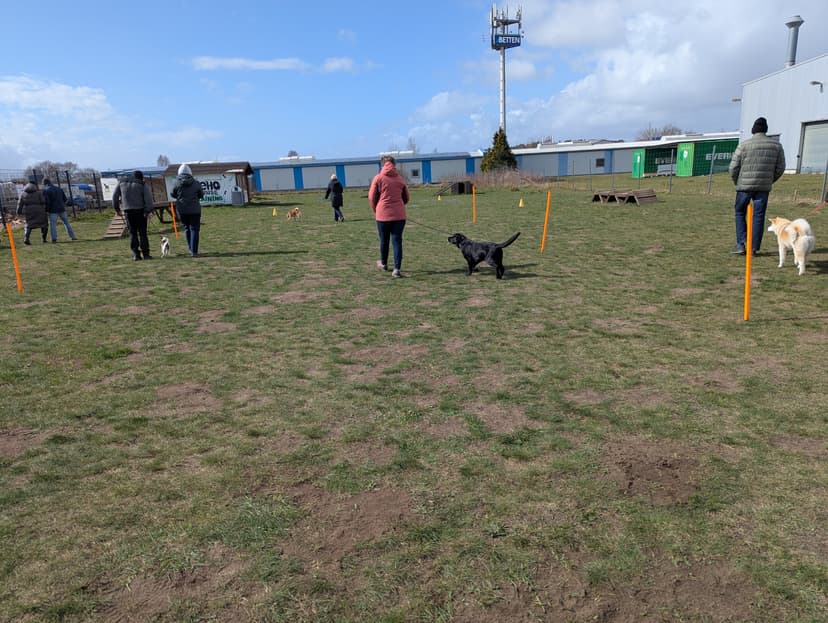 Hundeschule NeHo Hundetraining