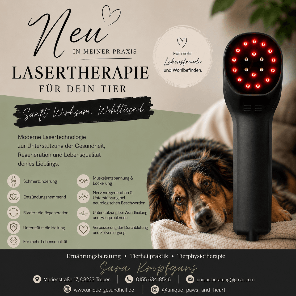 Ernährungsberatung•Tierheilpraktik•Tierphysiotherapie Sara Kropfgans