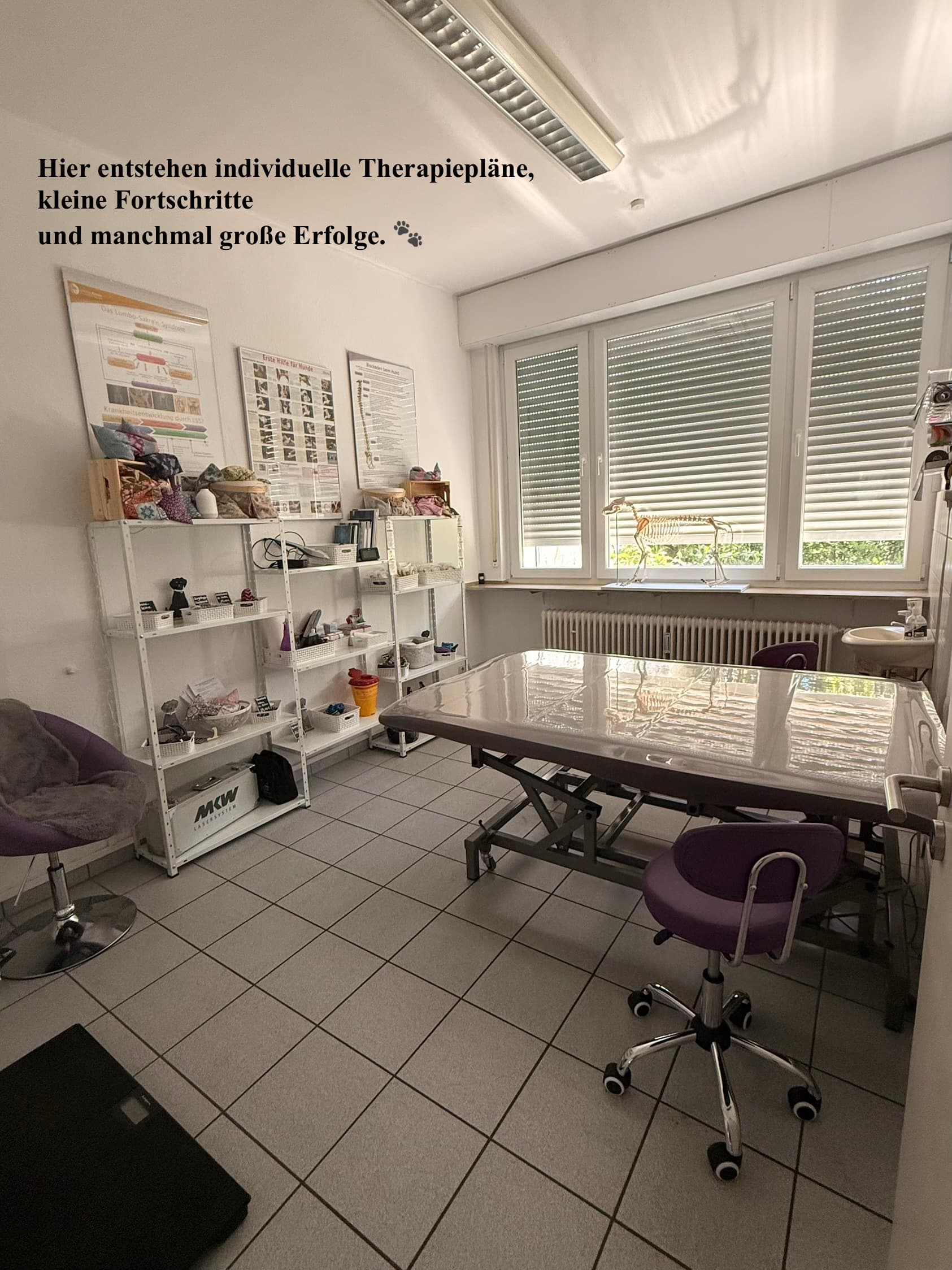 CanisMovi-HundePhysiotherapie I Carmen Sauer