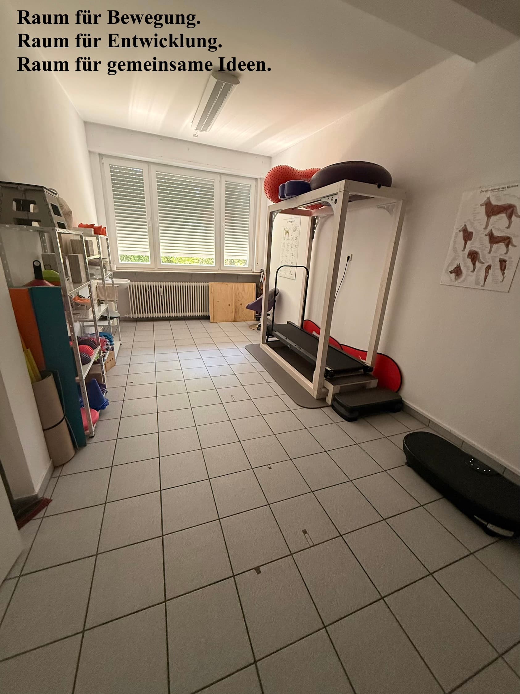 CanisMovi-HundePhysiotherapie I Carmen Sauer