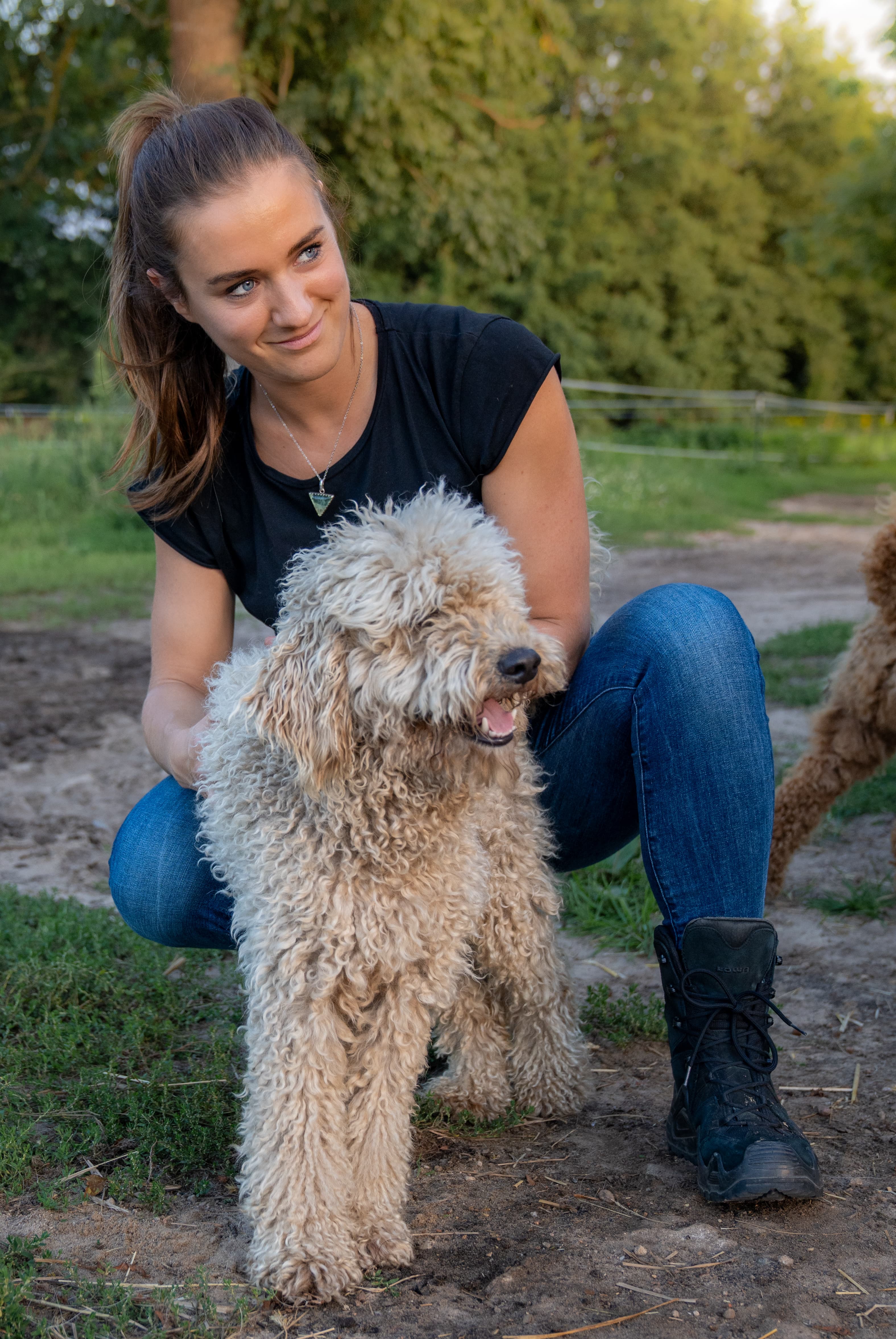 MotionMates Tierphysiotherapie