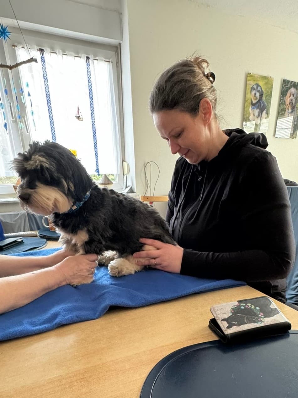 Tierphysio - Nicole