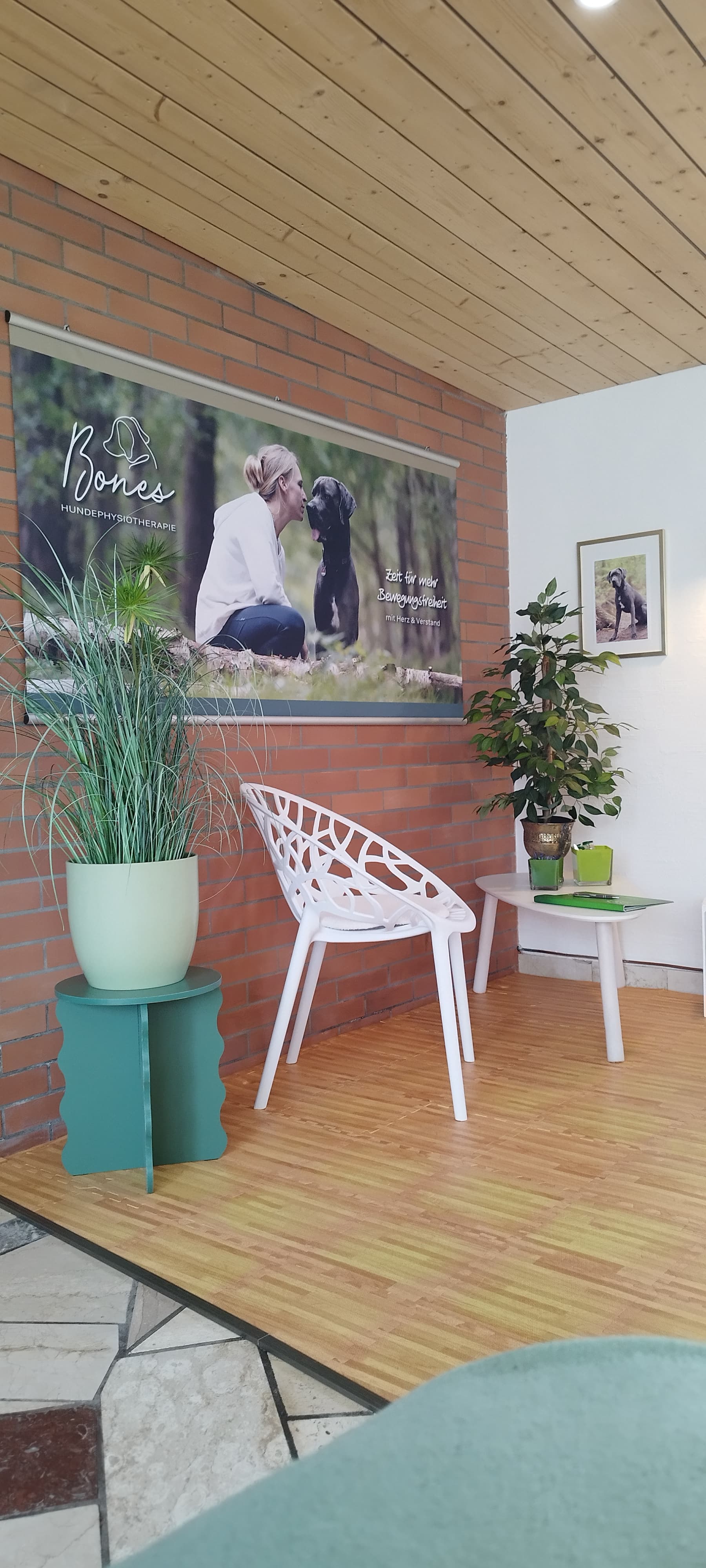 Bones Hundephysiotherapie