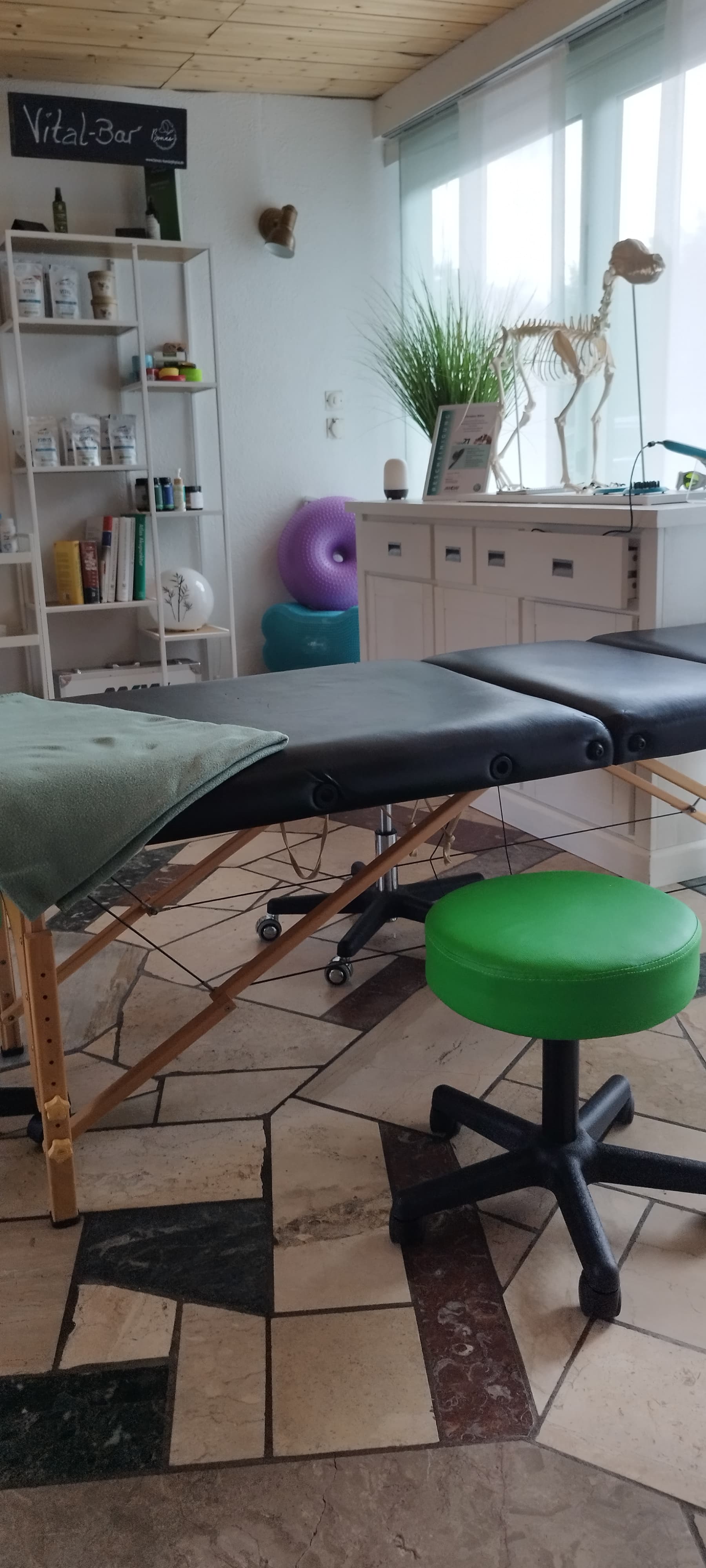 Bones Hundephysiotherapie