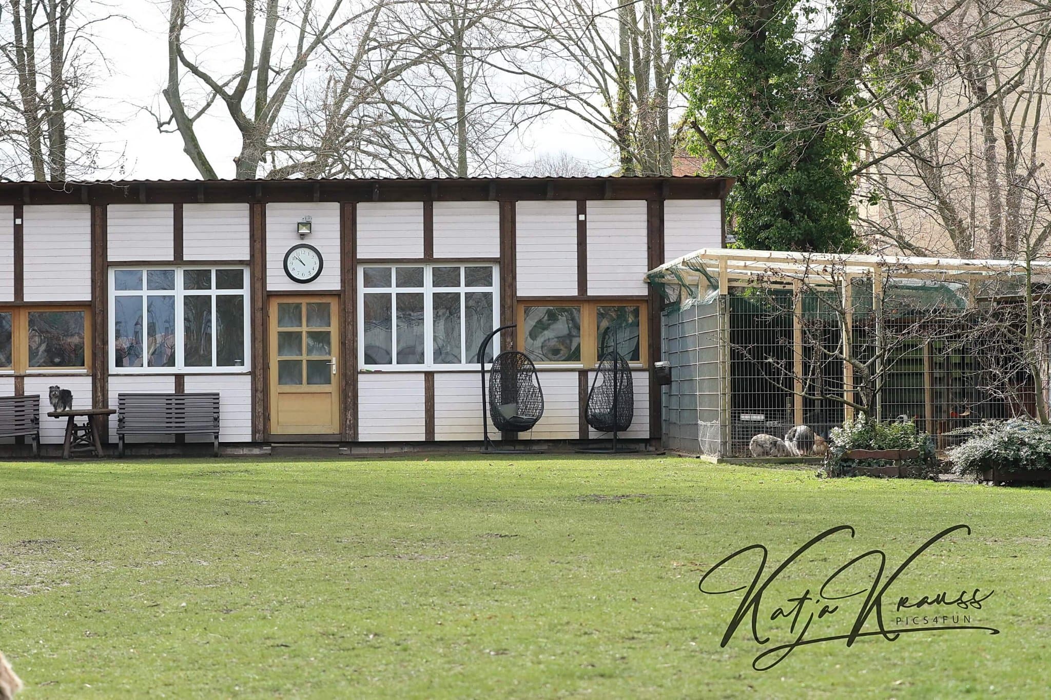 Hundeschule GREH