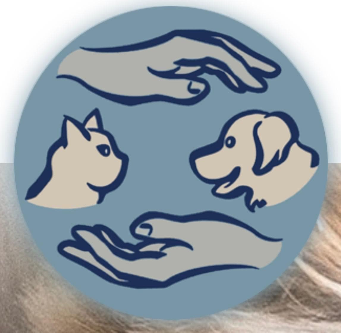 Physiotherapie für Tiere Heilerhund