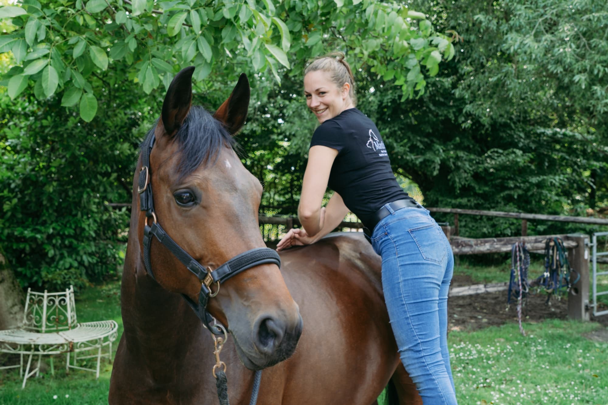 Manthera - manuelle Therapie für Tiere, tierärztliche Chiropraxis und Physiotherapie