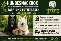 Hundesnackbox - BARF Saarland